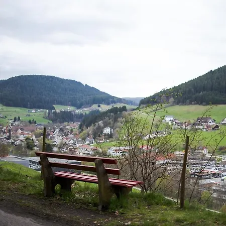 Wald Living Baiersbronn