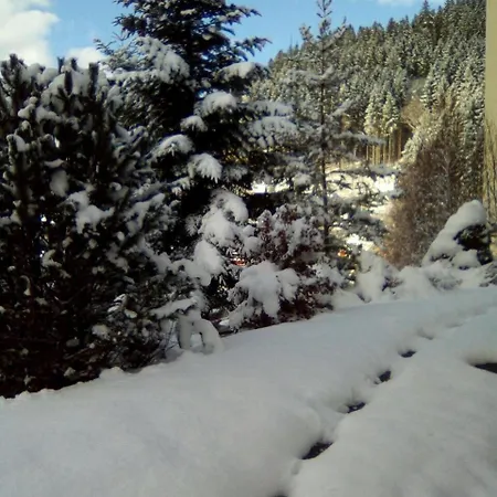 Apartment Wald Living