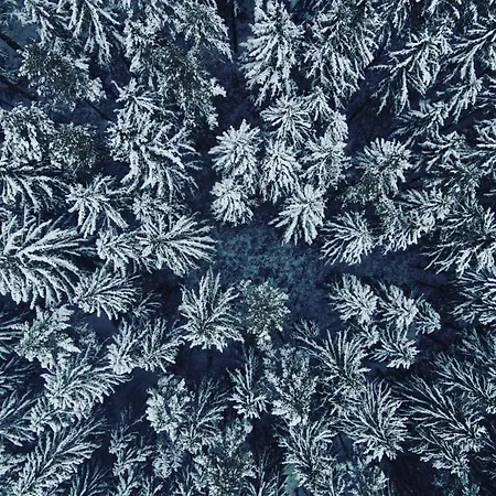 Wald Living *