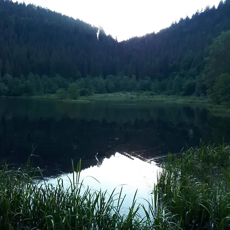 Wald Living *