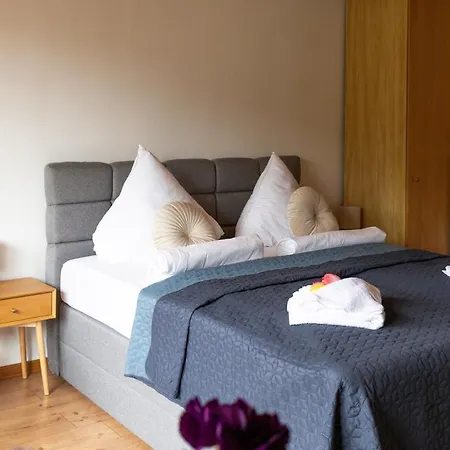 Wald Living Apartment Baiersbronn