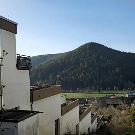 Apartment Wald Living *